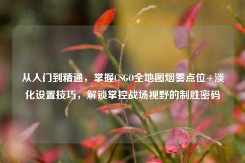 从入门到精通，掌握CSGO全地图烟雾点位+淡化设置技巧，解锁掌控战场视野的制胜密码