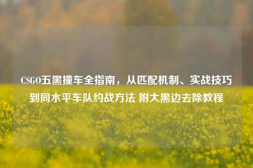 CSGO五黑撞车全指南，从匹配机制、实战技巧到同水平车队约战方法 附大黑边去除教程