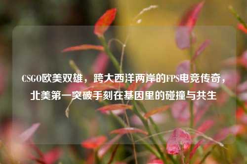 CSGO欧美双雄,跨大西洋两岸的FPS电竞传奇,北美第一突破手刻在基因里的碰撞与共生