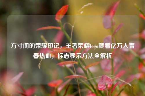 方寸间的荣耀印记,王者荣耀logo藏着亿万人青春热血,标志显示方法全解析