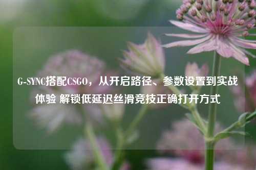 G-SYNC搭配CSGO，从开启路径、参数设置到实战体验 解锁低延迟丝滑竞技正确打开方式