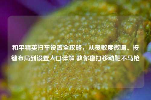 和平精英扫车设置全攻略,从灵敏度微调、按键布局到设置入口详解 教你稳扫移动靶不马枪