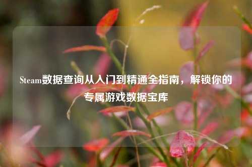 Steam数据查询从入门到精通全指南，解锁你的专属游戏数据宝库
