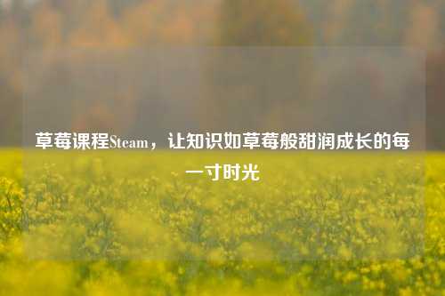草莓课程Steam，让知识如草莓般甜润成长的每一寸时光
