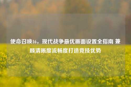 使命召唤16,现代战争最优画面设置全指南 兼顾清晰度流畅度打造竞技优势