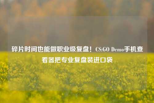 碎片时间也能做职业级复盘！CS:GO Demo手机查看器把专业复盘装进口袋