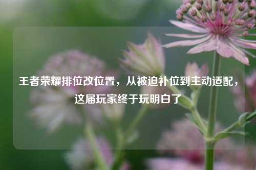 王者荣耀排位改位置，从被迫补位到主动适配，这届玩家终于玩明白了