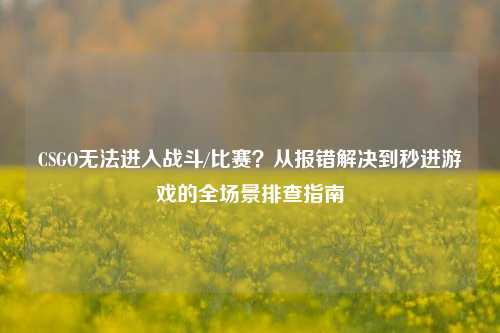 CSGO无法进入战斗/比赛？从报错解决到秒进游戏的全场景排查指南