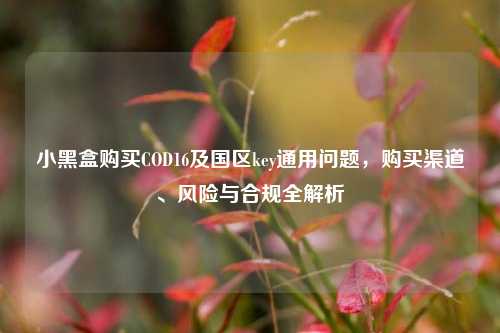 小黑盒购买COD16及国区key通用问题,购买渠道、风险与合规全解析