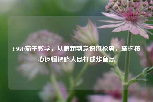 CSGO茄子教学,从萌新到意识流枪男,掌握核心逻辑把路人局打成炸鱼局