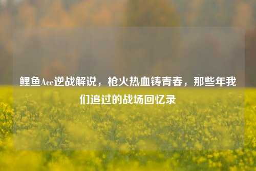 鲤鱼Ace逆战解说,枪火热血铸青春,那些年我们追过的战场回忆录