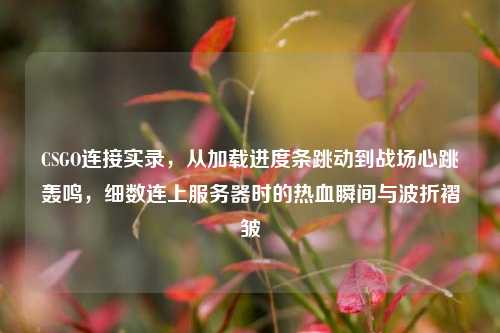 CSGO连接实录,从加载进度条跳动到战场心跳轰鸣,细数连上服务器时的热血瞬间与波折褶皱