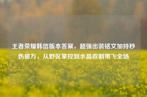 王者荣耀韩信版本答案,超强出装铭文加持秒伤破万,从野区掌控到水晶收割带飞全场