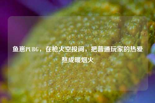 鱼崽PUBG,在枪火空投间,把普通玩家的热爱熬成暖烟火