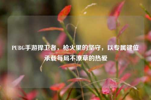 PUBG手游捍卫者,枪火里的坚守,以专属键位承载每局不潦草的热爱