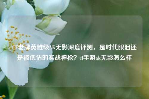 CF老牌英雄级AK无影深度评测,是时代眼泪还是被低估的实战神枪?cf手游ak无影怎么样
