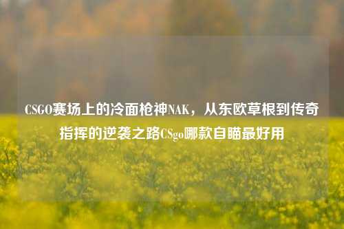 CSGO赛场上的冷面枪神NAK，从东欧草根到传奇指挥的逆袭之路CSgo哪款自瞄最好用