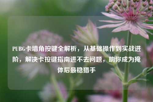 PUBG卡墙角按键全解析，从基础操作到实战进阶，解决卡按键指南进不去问题，助你成为掩体后最稳猎手