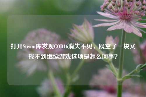 打开Steam库发现COD16消失不见,既空了一块又找不到继续游戏选项是怎么回事?