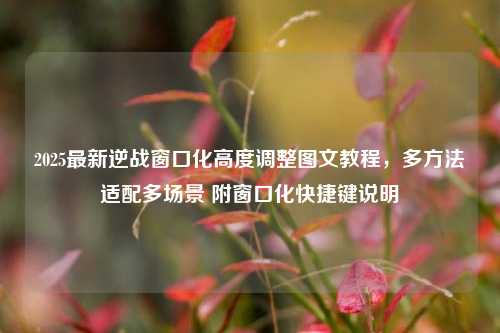 2025最新逆战窗口化高度调整图文教程,多方法适配多场景 附窗口化快捷键说明