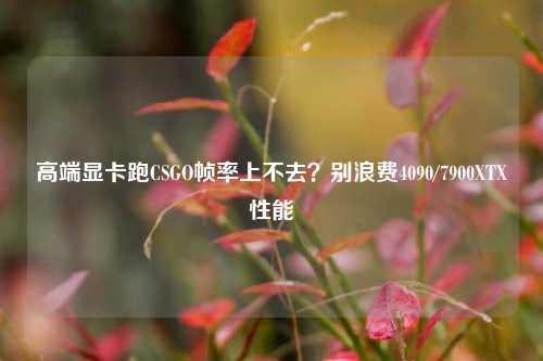 高端显卡跑CSGO帧率上不去?别浪费4090/7900XTX性能