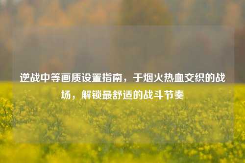 逆战中等画质设置指南,于烟火热血交织的战场,解锁最舒适的战斗节奏