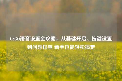 CSGO语音设置全攻略,从基础开启、按键设置到问题排查 新手也能轻松搞定
