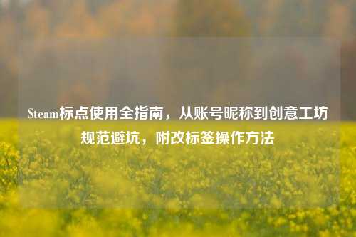 Steam标点使用全指南，从账号昵称到创意工坊规范避坑，附改标签操作方法