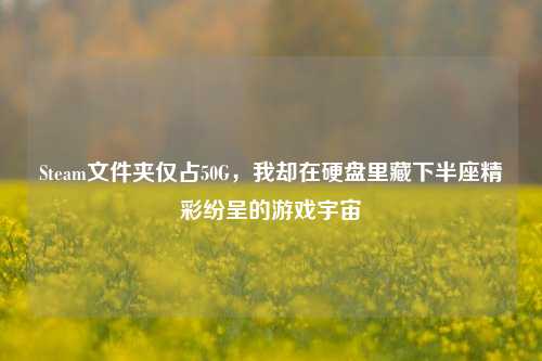 Steam文件夹仅占50G,我却在硬盘里藏下半座精彩纷呈的游戏宇宙