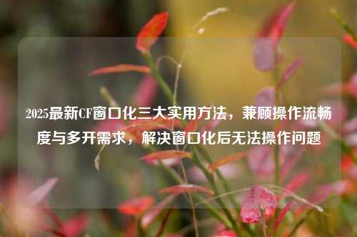 2025最新CF窗口化三大实用方法,兼顾操作流畅度与多开需求,解决窗口化后无法操作问题