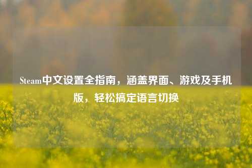 Steam中文设置全指南,涵盖界面、游戏及手机版,轻松搞定语言切换