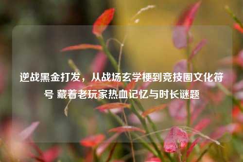 逆战黑金打发,从战场玄学梗到竞技圈文化符号 藏着老玩家热血记忆与时长谜题