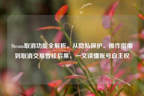 Steam取消功能全解析,从隐私保护、操作指南到取消交易暂挂后果,一文读懂账号自主权