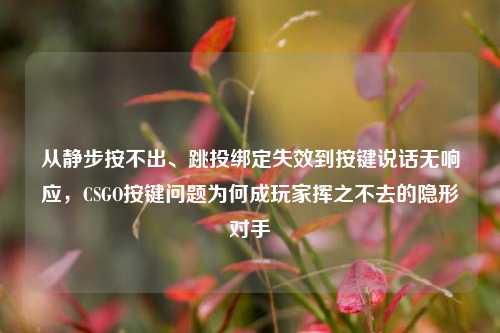 从静步按不出、跳投绑定失效到按键说话无响应,CSGO按键问题为何成玩家挥之不去的隐形对手