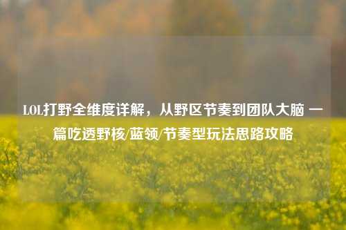 LOL打野全维度详解，从野区节奏到团队大脑 一篇吃透野核/蓝领/节奏型玩法思路攻略