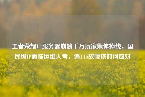 王者荣耀1.1服务器崩溃千万玩家集体掉线，国民级IP面临运维大考，遇1.15故障该如何应对