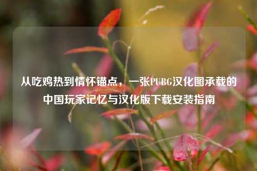 从吃鸡热到情怀锚点，一张PUBG汉化图承载的中国玩家记忆与汉化版下载安装指南