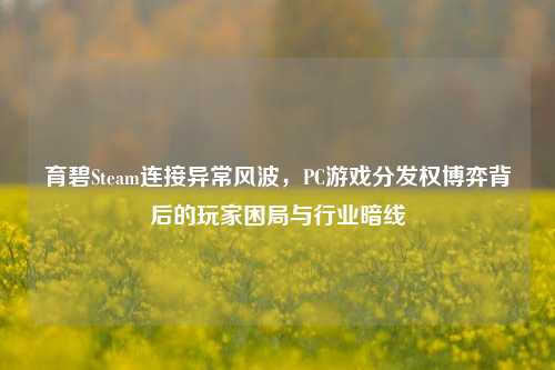 育碧Steam连接异常风波,PC游戏分发权博弈背后的玩家困局与行业暗线