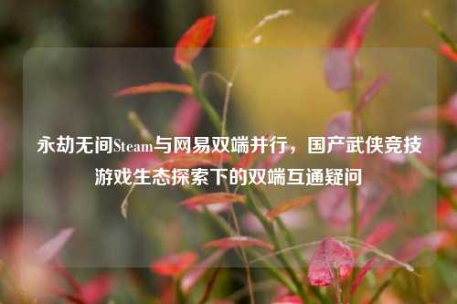 永劫无间Steam与网易双端并行，国产武侠竞技游戏生态探索下的双端互通疑问