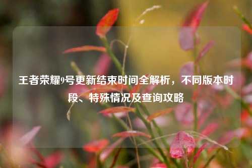 王者荣耀9号更新结束时间全解析，不同版本时段、特殊情况及查询攻略