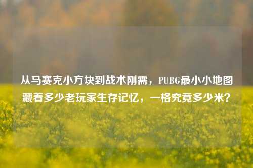 从马赛克小方块到战术刚需，PUBG最小小地图藏着多少老玩家生存记忆，一格究竟多少米？